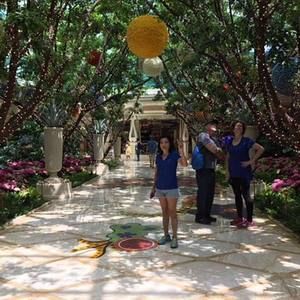 Meet your Posher, Tammy